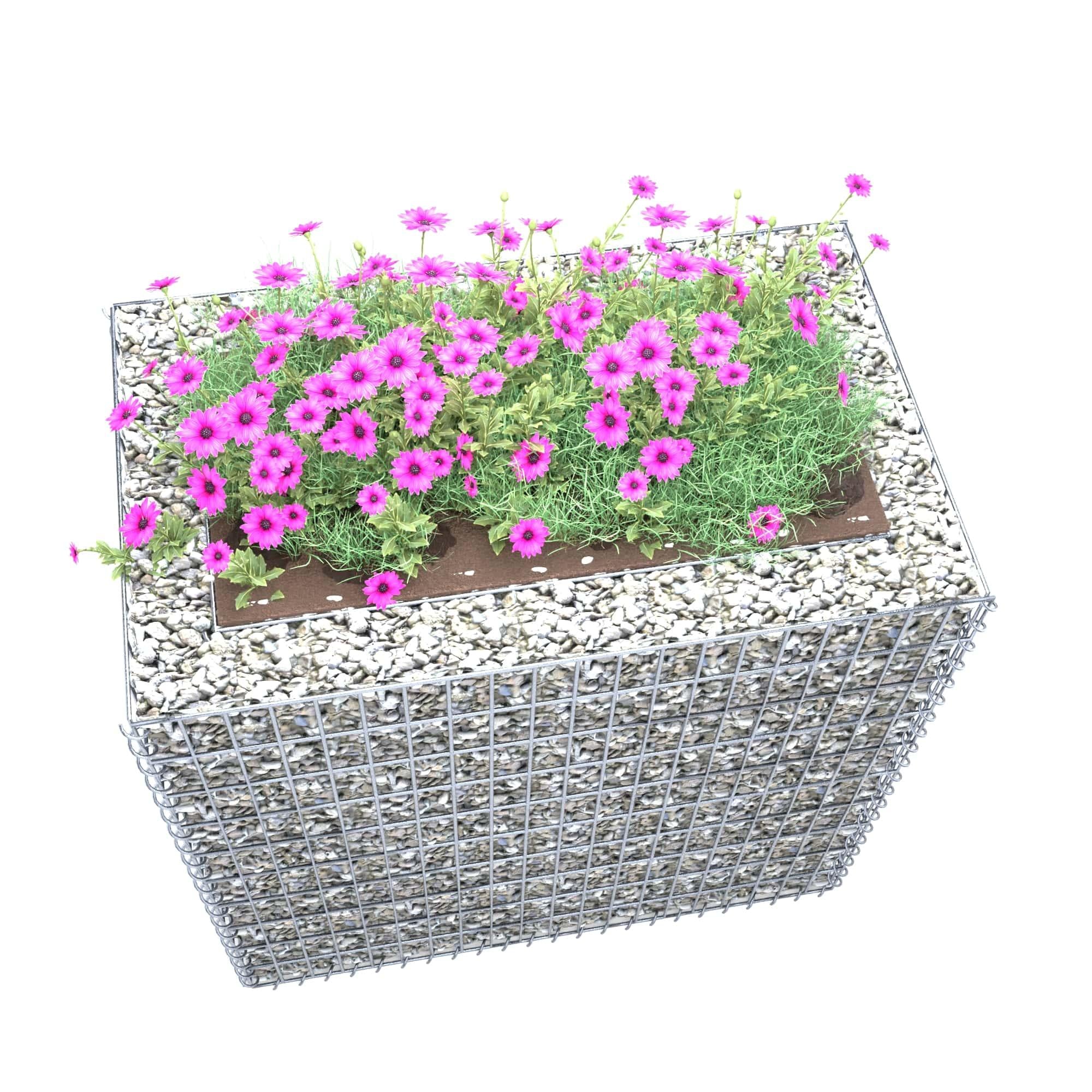 Lecho elevado rectangular 100 cm x 100 cm x 60 cm (L x A x P), malla 5 x 10 cm, espesor de pared 10 cm