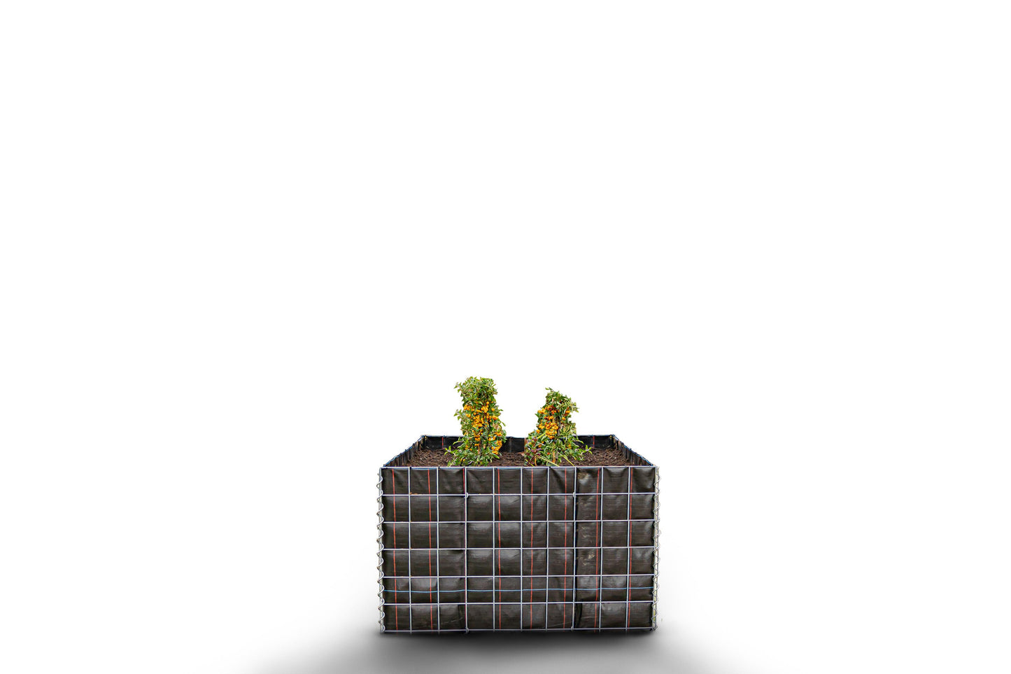 Lecho elevado rectangular sin zona de piedras - Longitud: 100 cm - Altura: 60 cm - Profundidad: 100 cm - Luz de malla: 10 x 10 cm