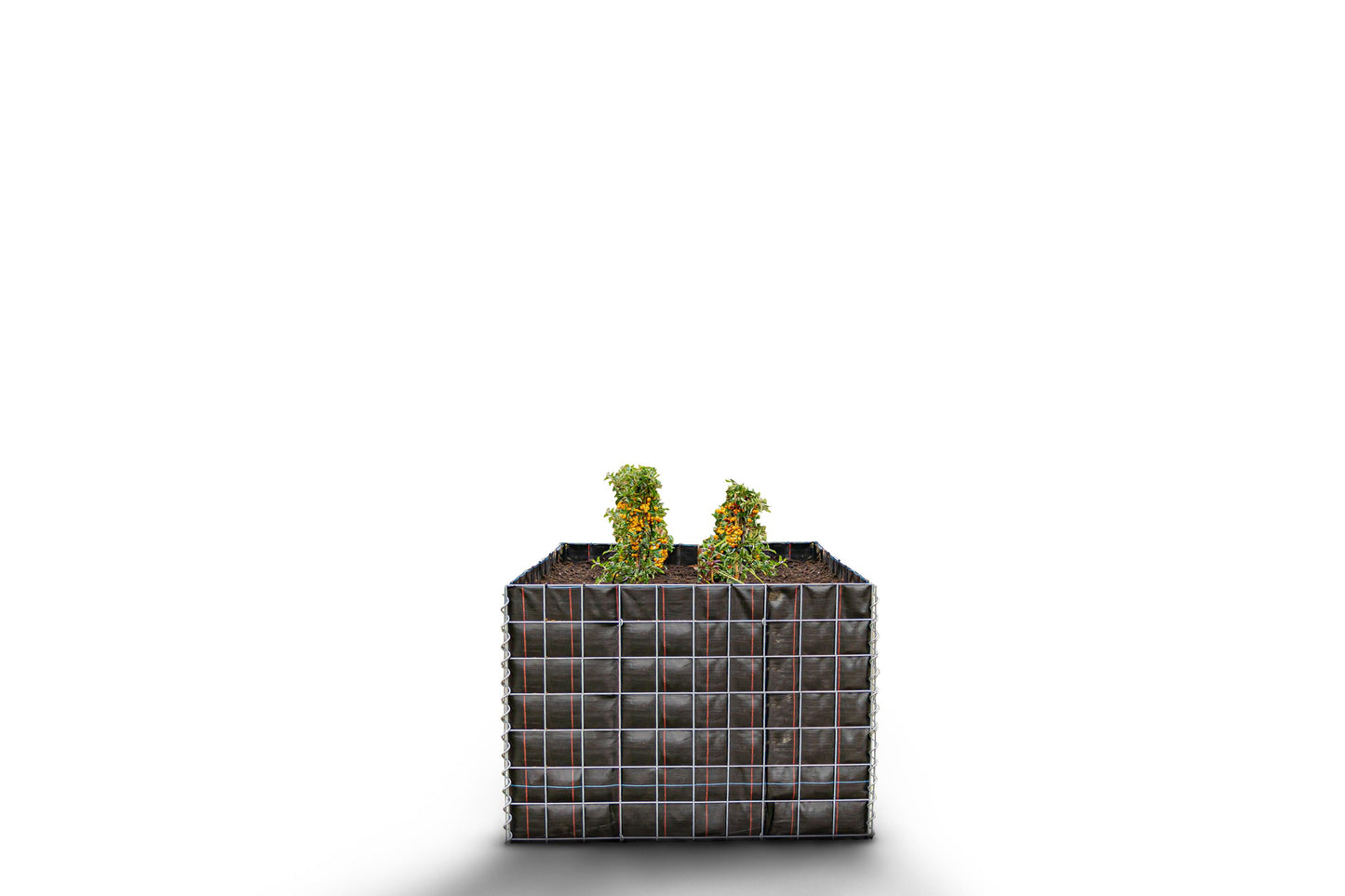 Lecho elevado rectangular sin zona de piedras - Longitud: 100 cm - Altura: 70 cm - Profundidad: 100 cm - Luz de malla: 10 x 10 cm