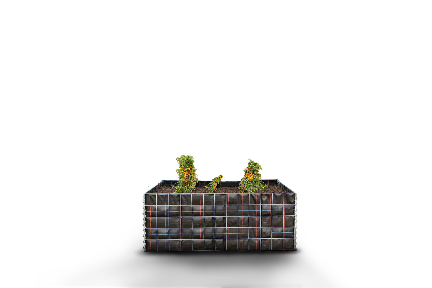 Högbädd, fyrkantig utan stenområde - Längd: 130 cm - Höjd: 50 cm - Djup: 80 cm - Maskstorlek: 10 x 10 cm