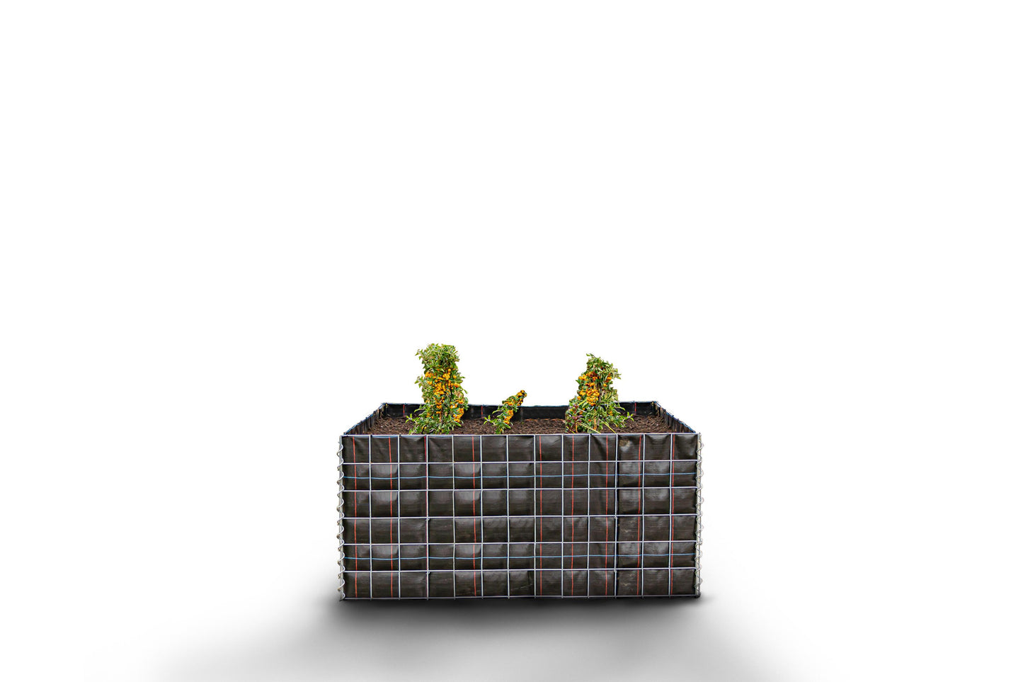 Lecho elevado rectangular sin zona de piedras - Longitud: 130 cm - Altura: 60 cm - Profundidad: 60 cm - Luz de malla: 10 x 10 cm