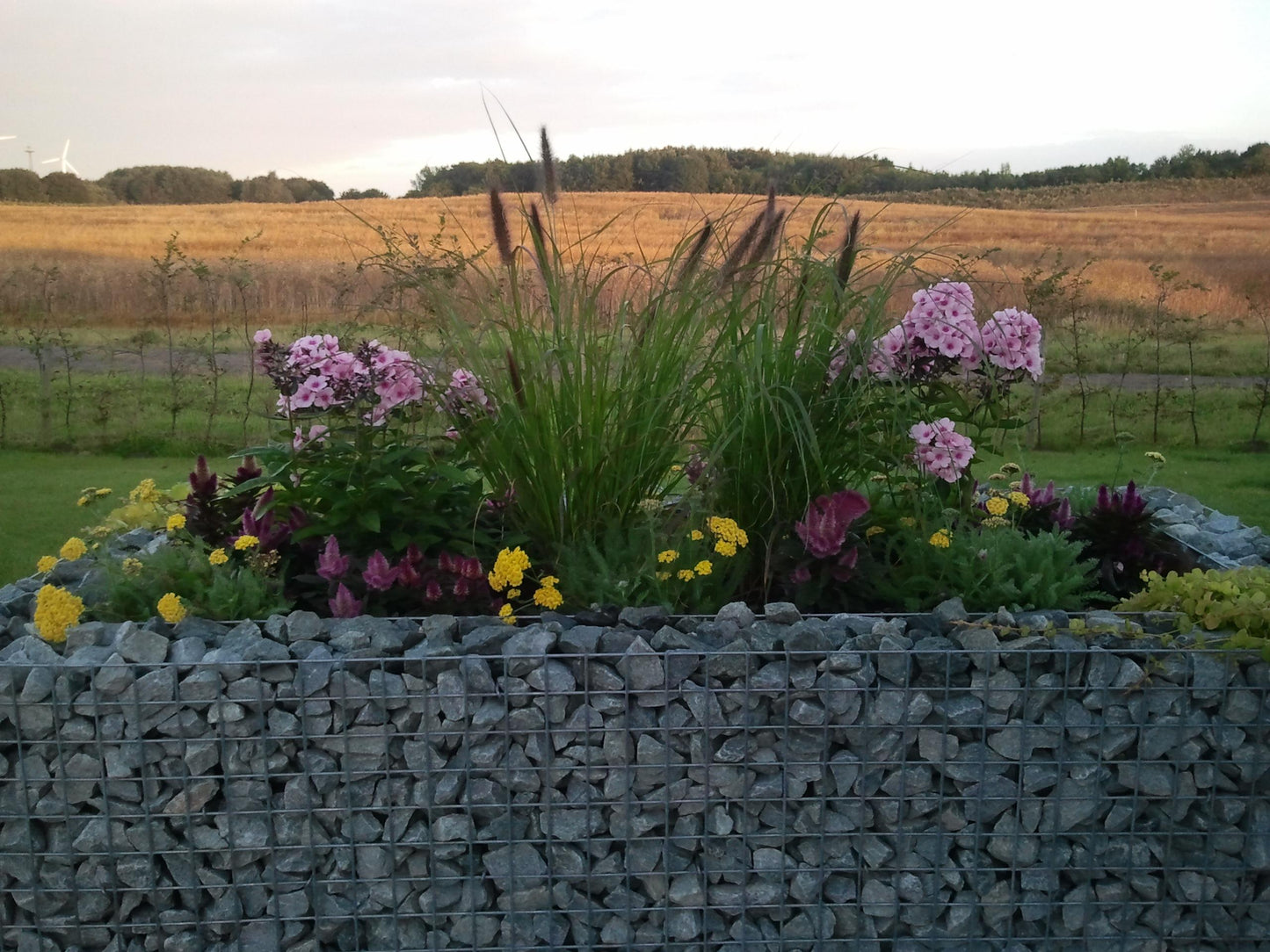 Lecho elevado rectangular 200 cm x 100 cm x 100 cm (largo x alto x fondo), malla 5 x 5 cm, espesor de pared 10 cm