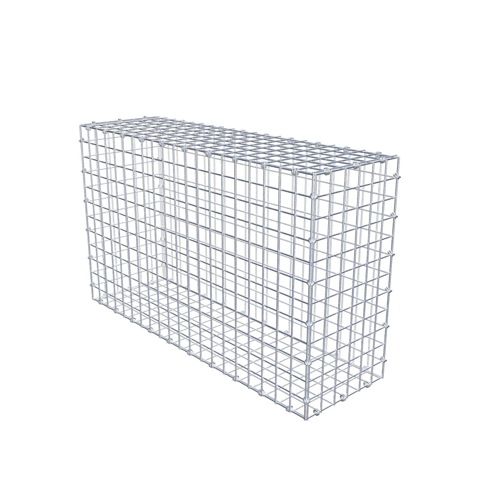 Gabbione 100 cm x 60 cm x 30 cm (L x H x P), maglia 5 x 5 cm, anello a spirale