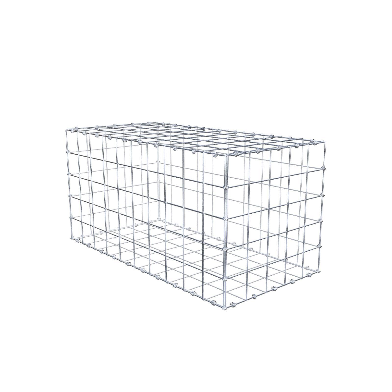 Gabbione 100 cm x 50 cm x 50 cm (L x H x P), maglia 10 x 10 cm, anello a spirale