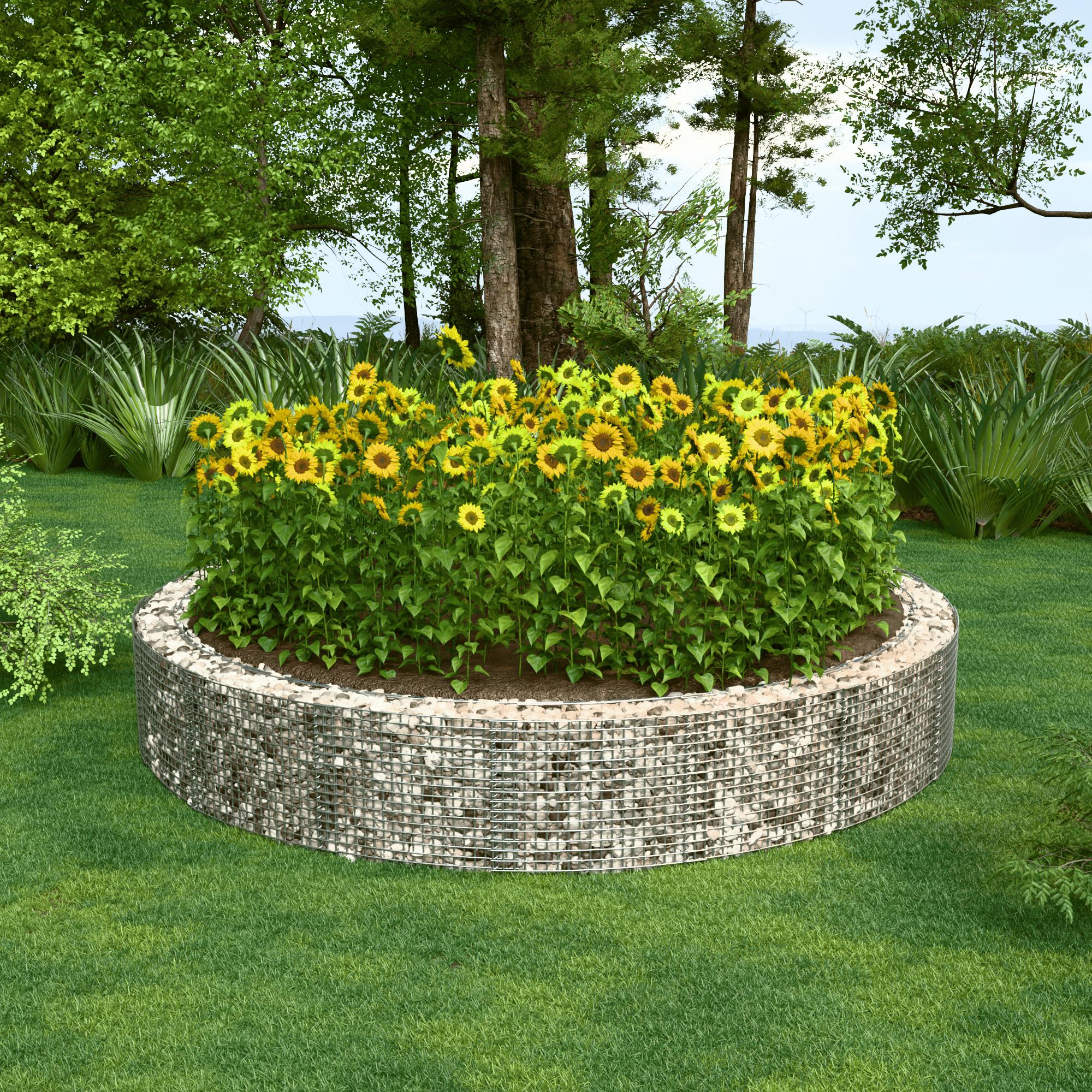 Canteiro elevado redondo, diâmetro externo 502 cm, altura 50 cm, tamanho da malha 5 x 5 cm, espessura da parede 15 cm