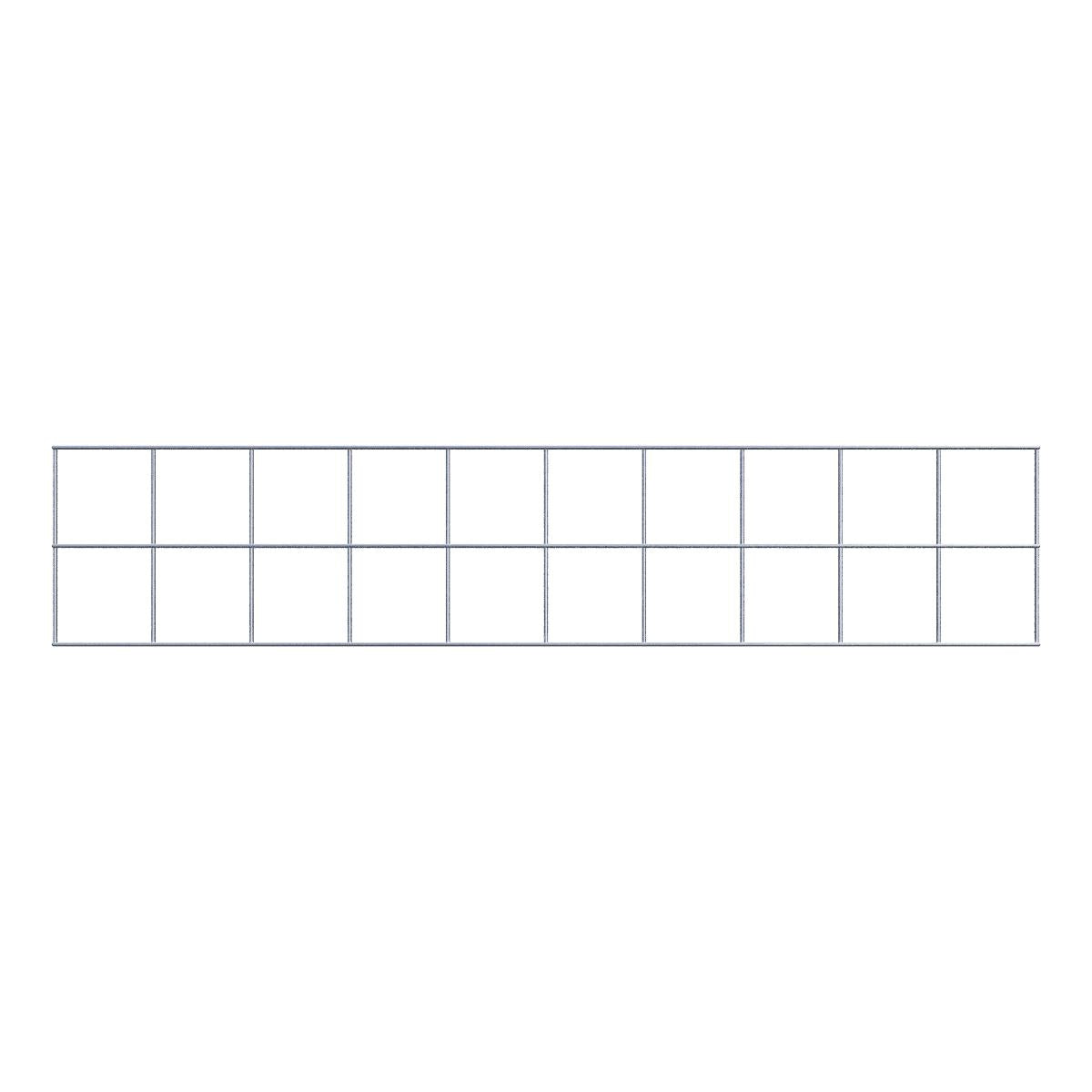 Grid 10 x 10 cm mesh size