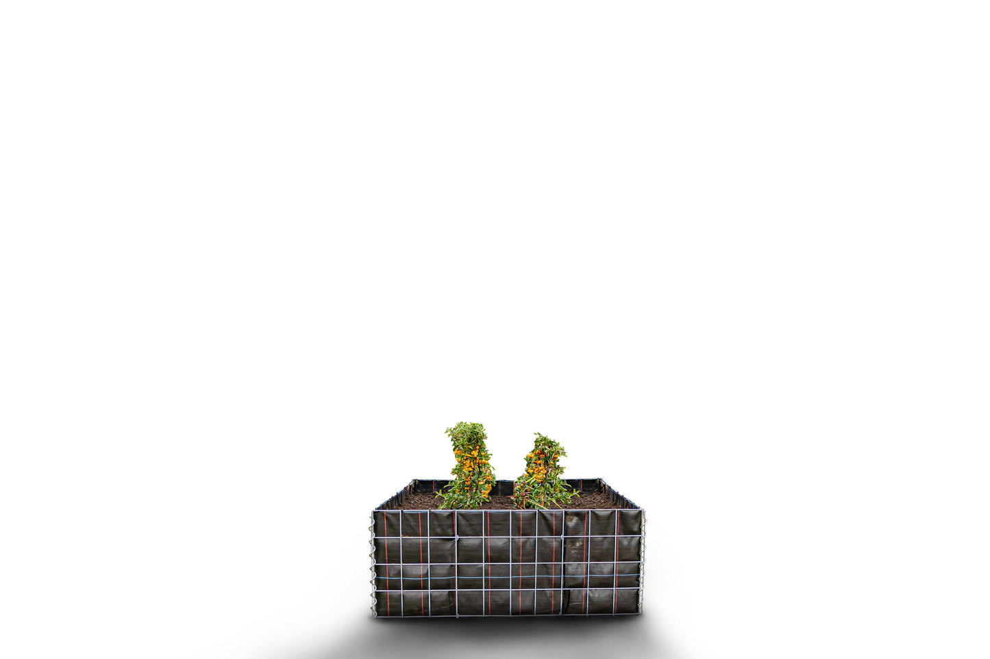Lecho elevado rectangular sin zona de piedras - Longitud: 100 cm - Altura: 40 cm - Profundidad: 40 cm - Luz de malla: 10 x 10 cm