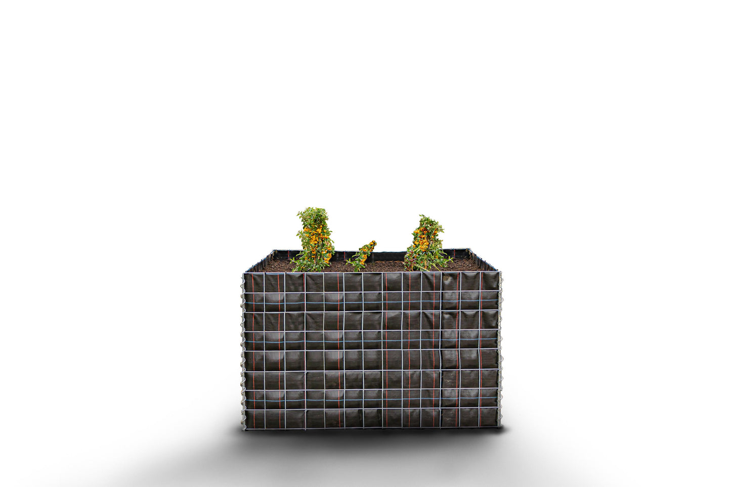 Lecho elevado rectangular sin zona de piedras - Longitud: 130 cm - Altura: 80 cm - Profundidad: 80 cm - Luz de malla: 10 x 10 cm