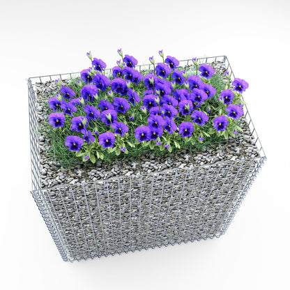 Raised bed square 100 cm x 100 cm x 60 cm (L x H x D), mesh size 5 x 5 cm, wall thickness 10 cm