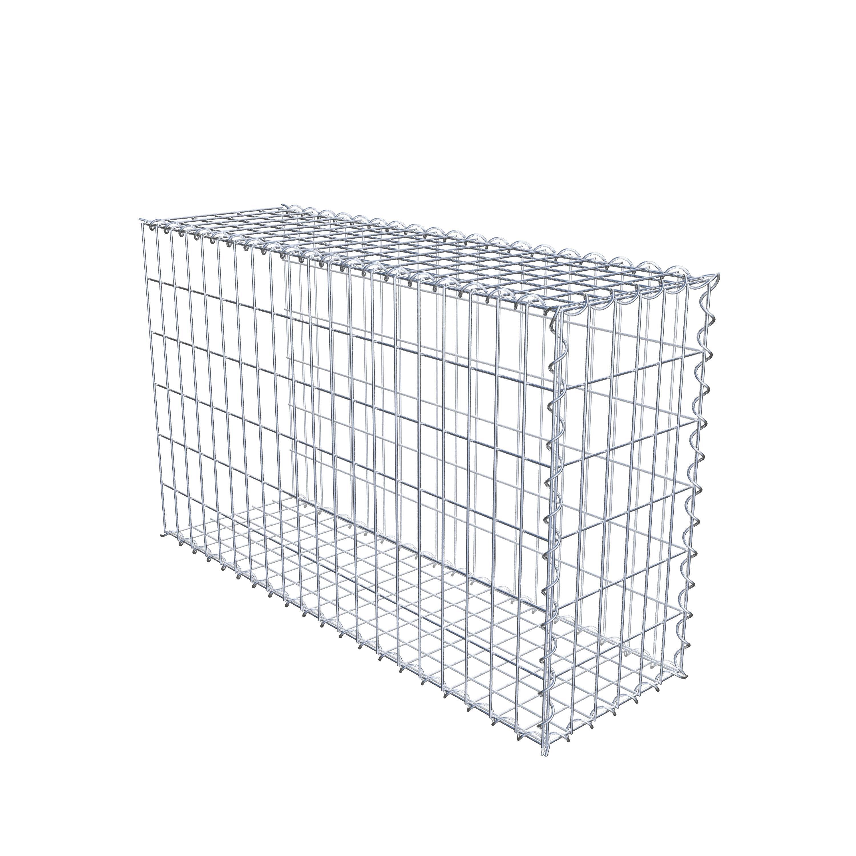 Grown-on gabion type 2 100 cm x 60 cm x 30 cm (L x H x D), mesh size 5 cm x 10 cm, spiral