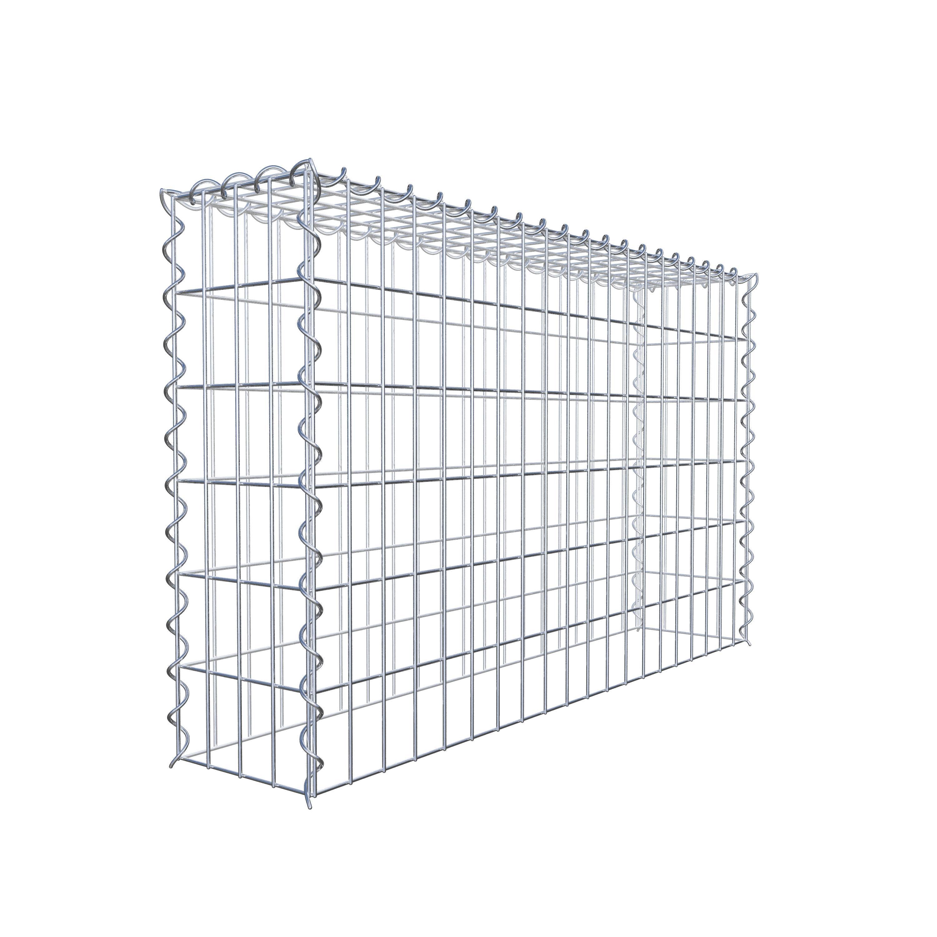 Opvokset gabion type 3 100 cm x 60 cm x 20 cm (L x H x D), maskestørrelse 5 cm x 10 cm, spiral