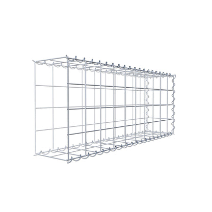 Grown-on gabion type 2 100 cm x 40 cm x 20 cm (L x H x D), mesh size 10 cm x 10 cm, spiral