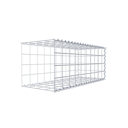 Grown-on gabion type 2 100 cm x 40 cm x 40 cm (L x H x D), mesh size 10 cm x 10 cm, spiral