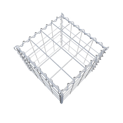Grown-on gabion type 3 40 cm x 40 cm x 40 cm (L x H x D), mesh size 10 cm x 10 cm, spiral