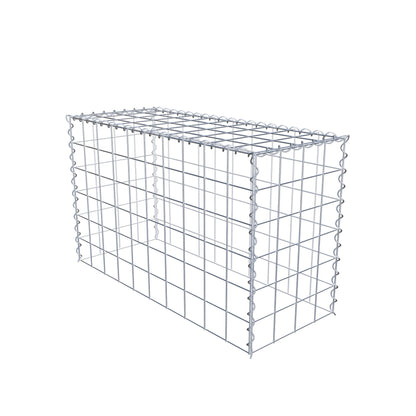 Opvokset gabion type 3 100 cm x 60 cm x 40 cm (L x H x D), maskestørrelse 10 cm x 10 cm, spiral
