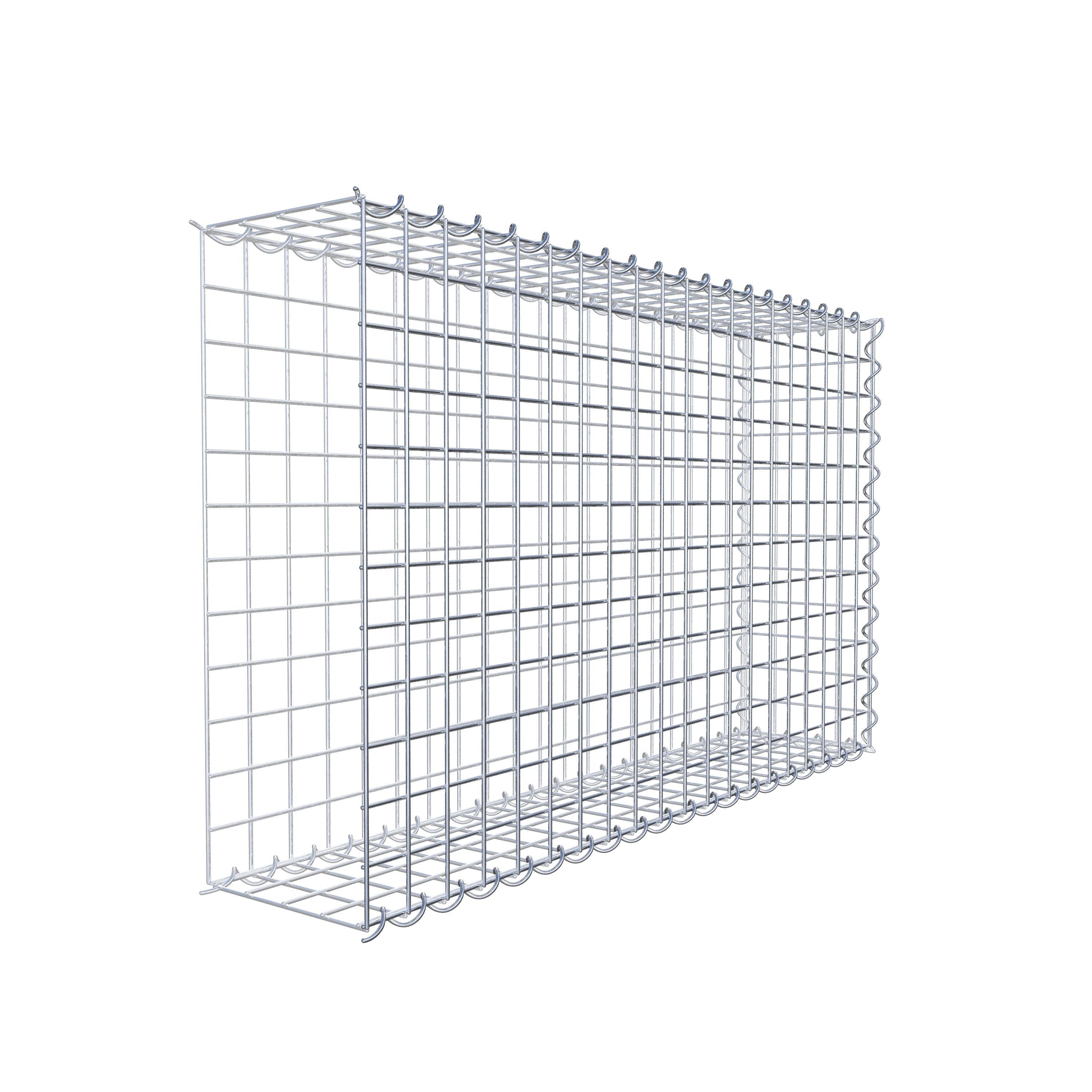 Udvokset gabion type 2 100 cm x 60 cm x 20 cm (L x H x D), maskestørrelse 5 cm x 5 cm, spiral