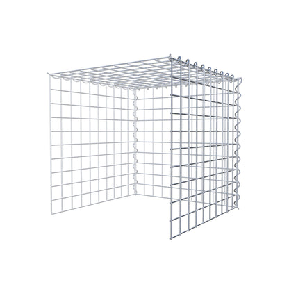 Grown-on gabion type 4 50 cm x 50 cm x 50 cm (L x H x D), mesh size 5 cm x 5 cm, spiral