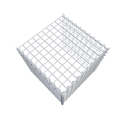 Grown-on gabion type 4 50 cm x 50 cm x 50 cm (L x H x D), mesh size 5 cm x 5 cm, spiral