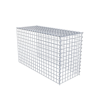 Opvokset gabion type 4 100 cm x 60 cm x 40 cm (L x H x D), maskestørrelse 5 cm x 5 cm, spiral
