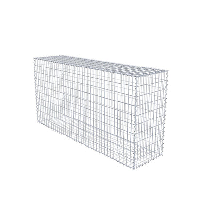 Gabion 200 cm x 100 cm x 50 cm (L x H x P), mailles 5 cm x 10 cm, spirale
