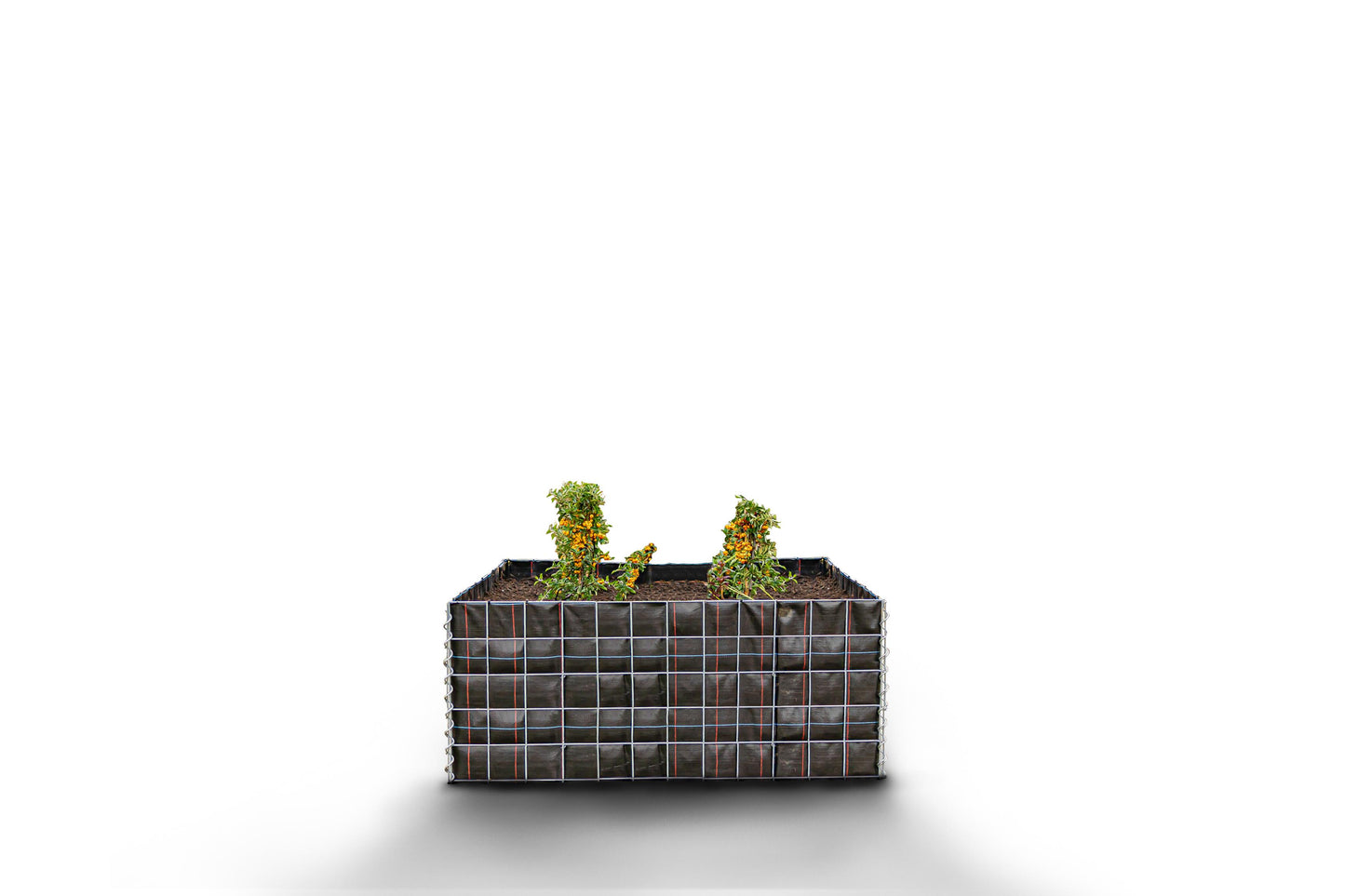 Lecho elevado rectangular sin zona de piedras - Longitud: 120 cm - Altura: 50 cm - Profundidad: 50 cm - Luz de malla: 10 x 10 cm