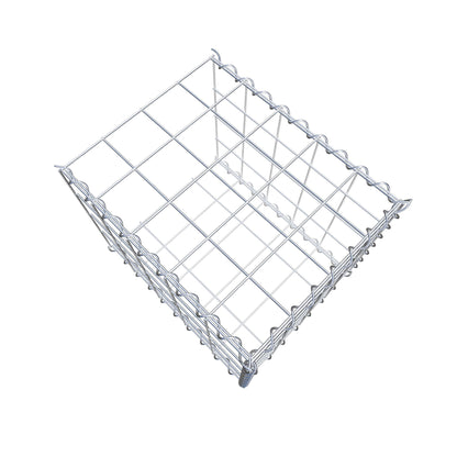 Grown-on gabion type 2 50 cm x 40 cm x 40 cm (L x H x D), mesh size 10 cm x 10 cm, spiral