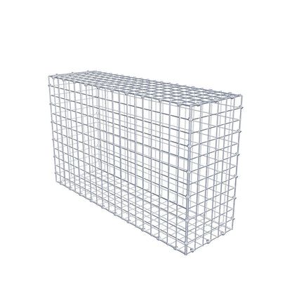 Gabion 100 cm x 60 cm x 30 cm (L x H x P), mailles 5 x 5 cm, anneau en spirale