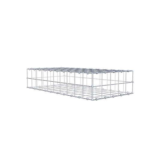 Gabion 100 cm x 20 cm x 50 cm (L x H x P), mailles 10 x 10 cm, anneau en spirale