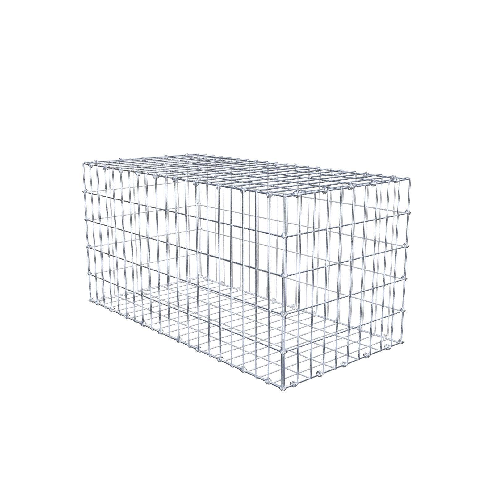 Gabbione 100 cm x 50 cm x 50 cm (L x H x P), maglia 5 x 10 cm, anello a spirale