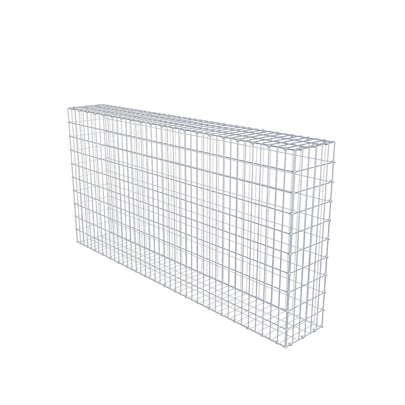 Gabbione 200 cm x 100 cm x 30 cm (L x H x P), maglia 5 x 10 cm, anello a spirale
