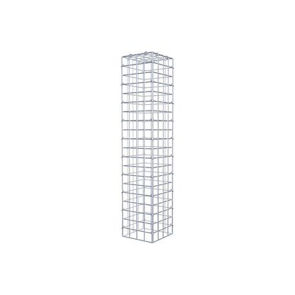 Extra gabion typ 3 100 cm x 20 cm x 20 cm (L x H x D), maskstorlek 5 cm x 5 cm, C-ring