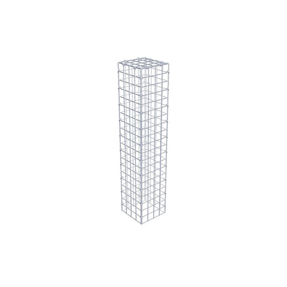 Extra gabion typ 3 100 cm x 20 cm x 20 cm (L x H x D), maskstorlek 5 cm x 5 cm, C-ring