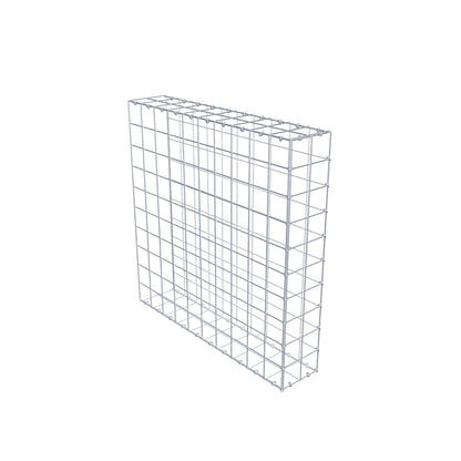 Extra gabion typ 2 100 cm x 100 cm x 20 cm (L x H x D), maskstorlek 10 cm x 10 cm, C-ring