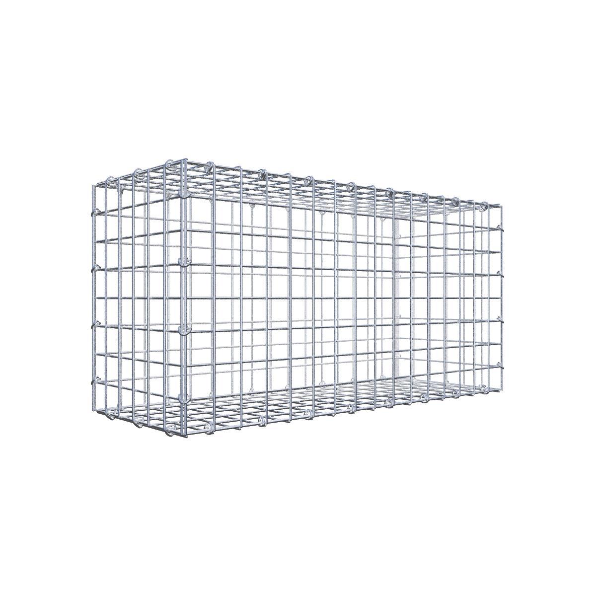 Gabione 05x05 080x040x030 Typ1 C-Ring