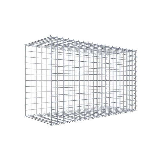 Gabione 05x05 100x060x040 Typ2 Spiral