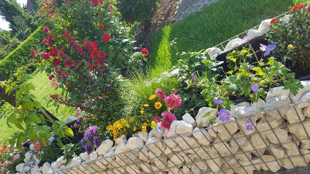 Letto rialzato in gabbioni su misura - maglia 5x10cm