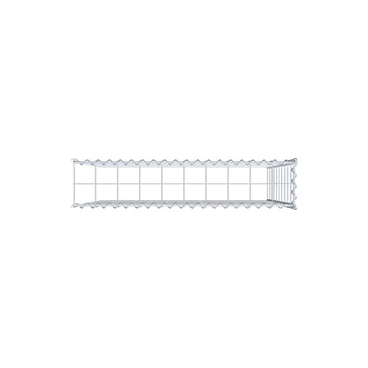 Grown-on gabion type 4 100 cm x 100 cm x 20 cm (L x H x D), mesh size 10 cm x 10 cm, spiral