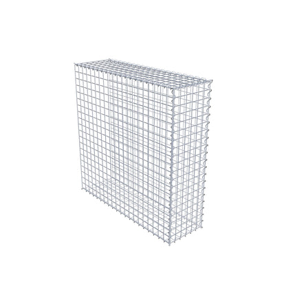 Grown-on gabion type 2 100 cm x 100 cm x 30 cm (L x H x D), mesh size 5 cm x 5 cm, spiral