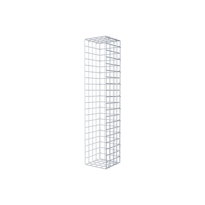 Fästbar gabion typ 2 100 cm x 20 cm x 20 cm (L x H x D), maskstorlek 5 cm x 5 cm, C-ring