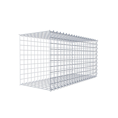 Grown-on gabion type 2 100 cm x 50 cm x 40 cm (L x H x D), mesh size 5 cm x 5 cm, spiral