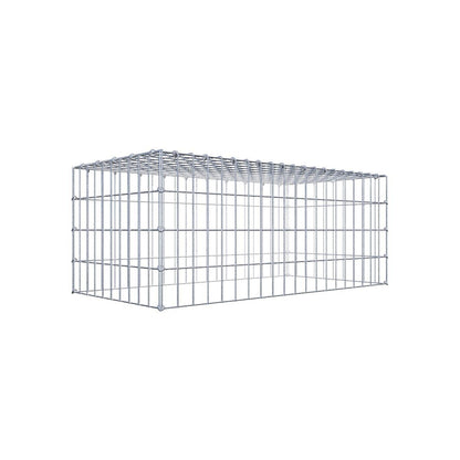 Gabione 05x10 100x040x050 Typ3 C-Ring