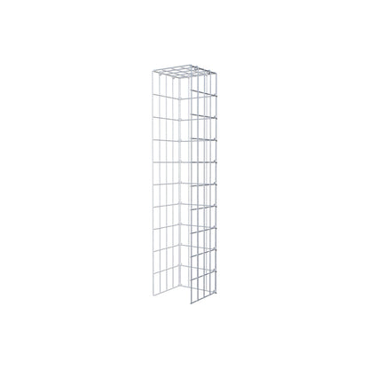 Extra gabion typ 4 100 cm x 20 cm x 20 cm (L x H x D), maskstorlek 5 cm x 10 cm, C-ring