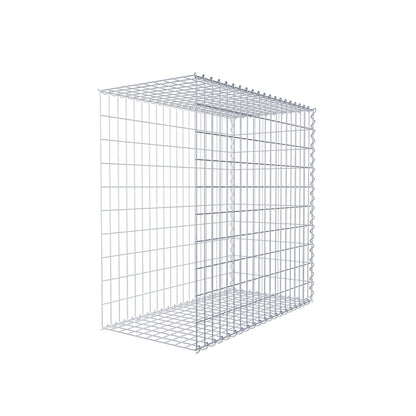 Grown-on gabion type 2 100 cm x 100 cm x 50 cm (L x H x D), mesh size 5 cm x 10 cm, spiral