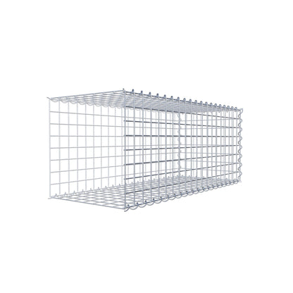 Opvokset gabion type 2 100 cm x 40 cm x 40 cm (L x H x D), maskestørrelse 5 cm x 5 cm, spiral