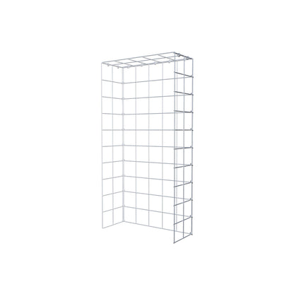 Anbaugabione Typ 4 100 cm x 20 cm x 50 cm (L x H x T), Maschenweite 10 cm x 10 cm, C-Ring