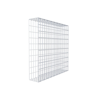 Extra gabion typ 2 100 cm x 100 cm x 20 cm, maskstorlek 5 cm x 10 cm, C-ring