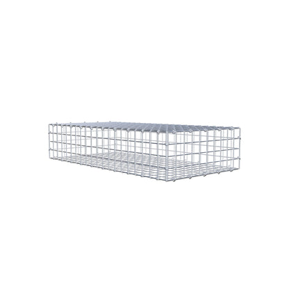 Gabbione 100 cm x 20 cm x 50 cm (L x H x P), maglia 5 cm x 5 cm, anello a C