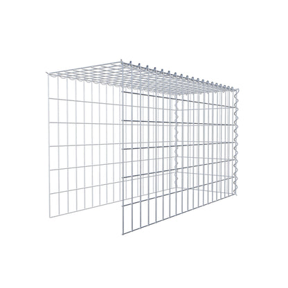 Grown-on gabion type 4 100 cm x 60 cm x 40 cm (L x H x D), mesh size 5 cm x 10 cm, spiral