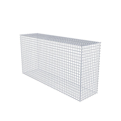 Gabion 200 cm x 100 cm x 50 cm (L x H x D), maskstorlek 5 cm x 5 cm, spiral