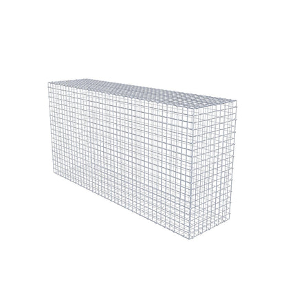 Gabion 200 cm x 100 cm x 50 cm (L x H x P), mailles 5 x 5 cm, anneau en spirale